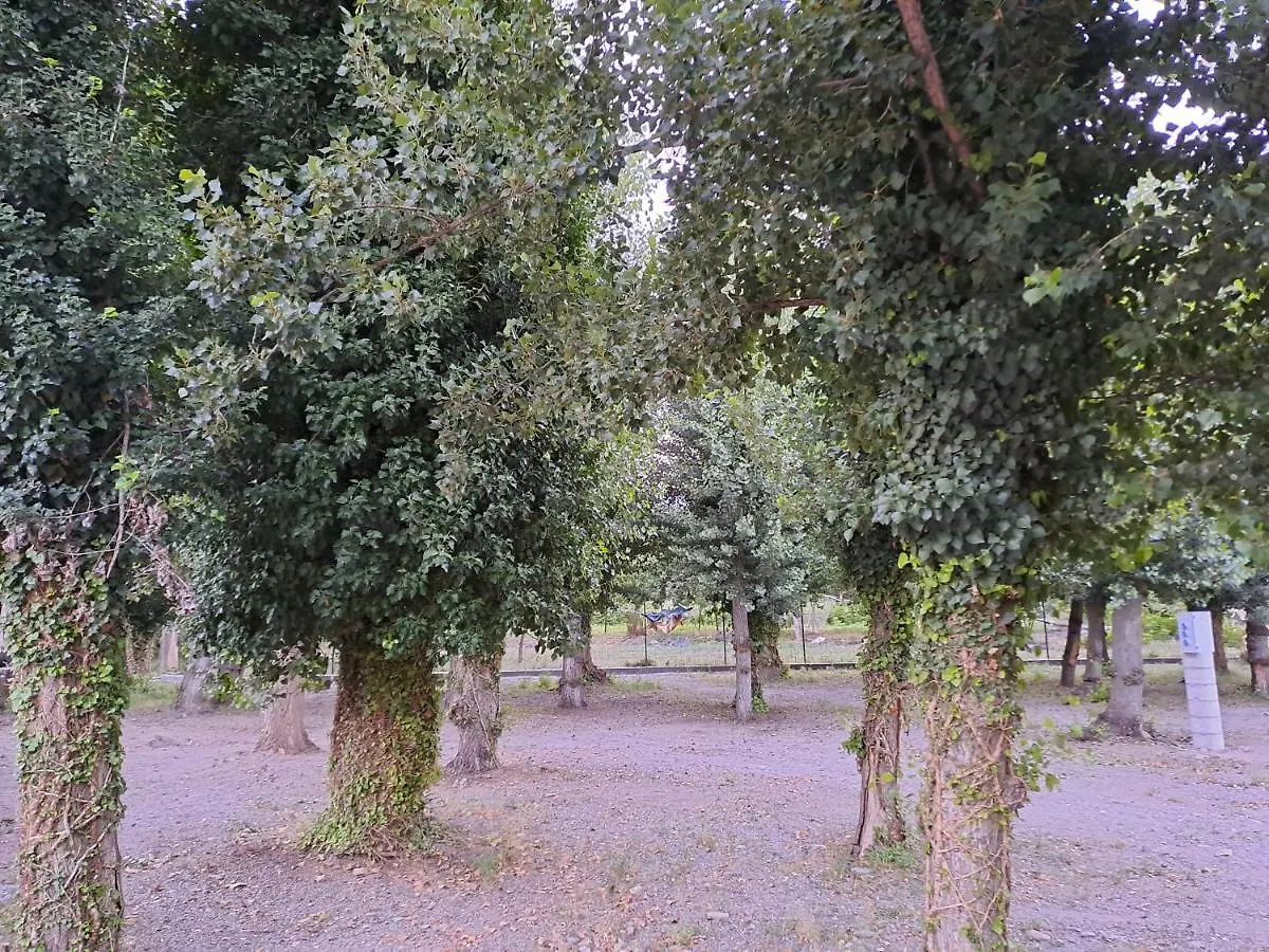 Camping Valle Del Andarax Fondón España