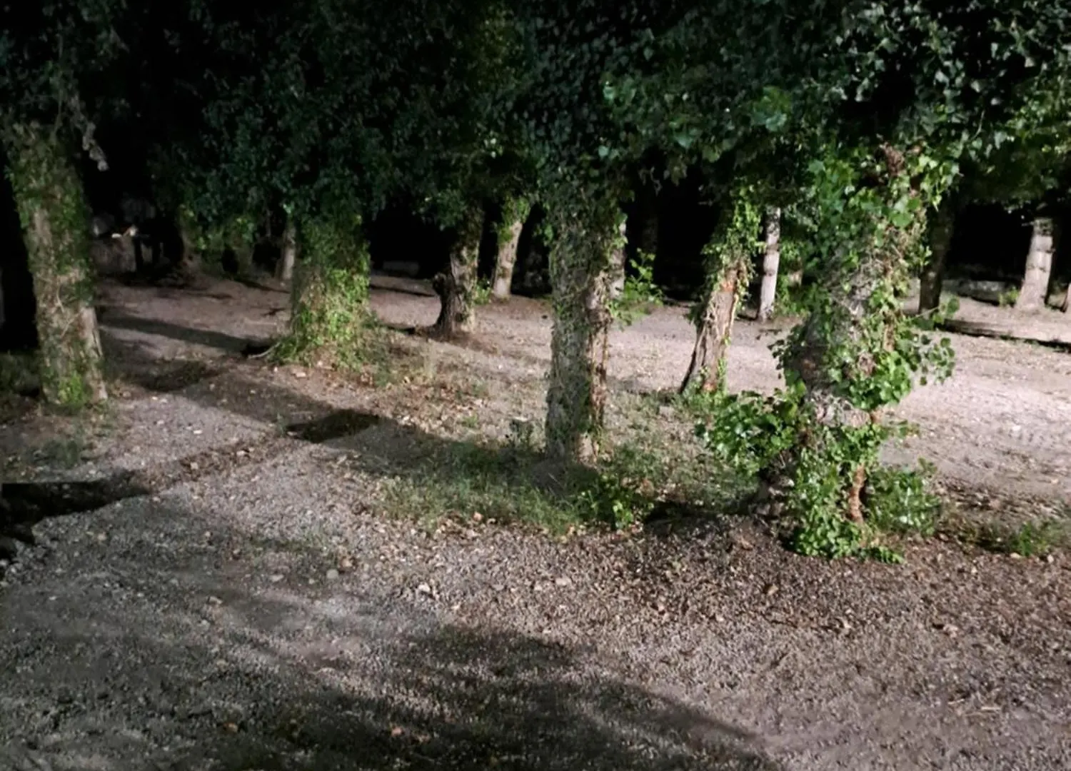 Camping Valle Del Andarax Fondón