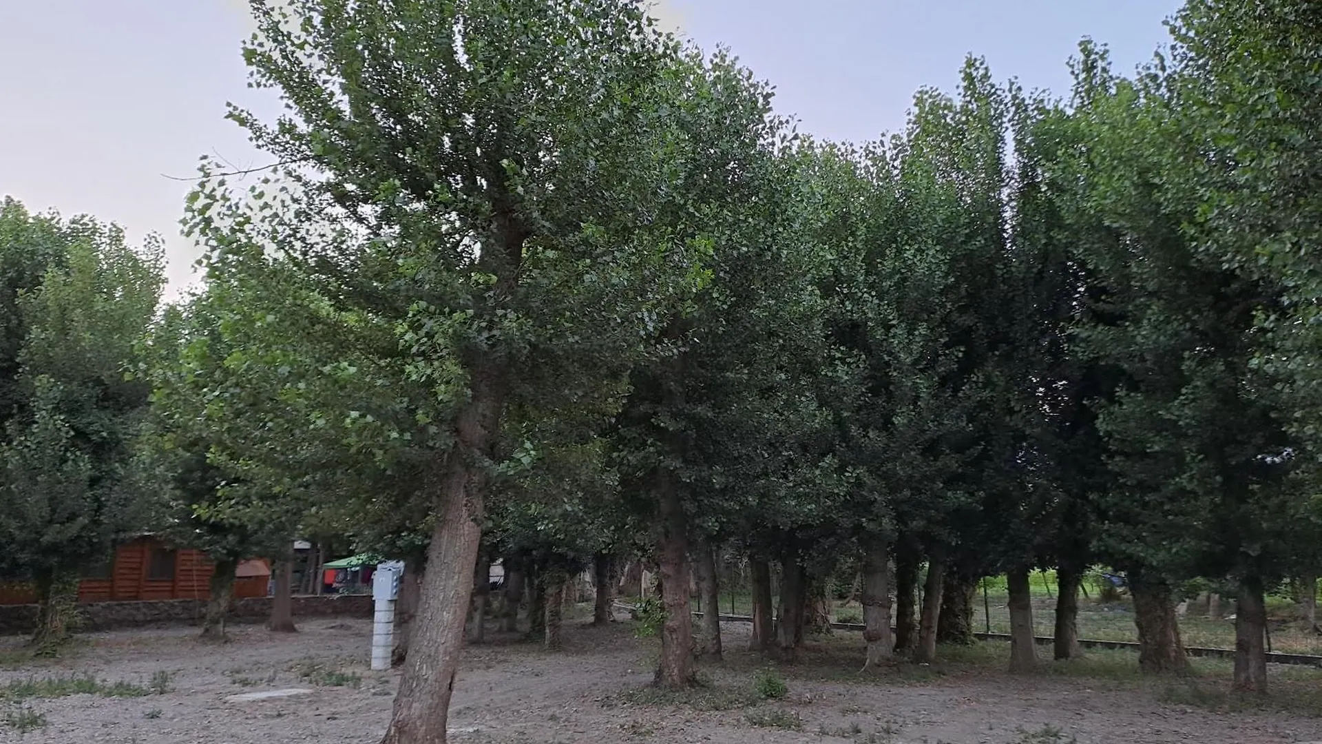 Camping Valle Del Andarax Fondón España