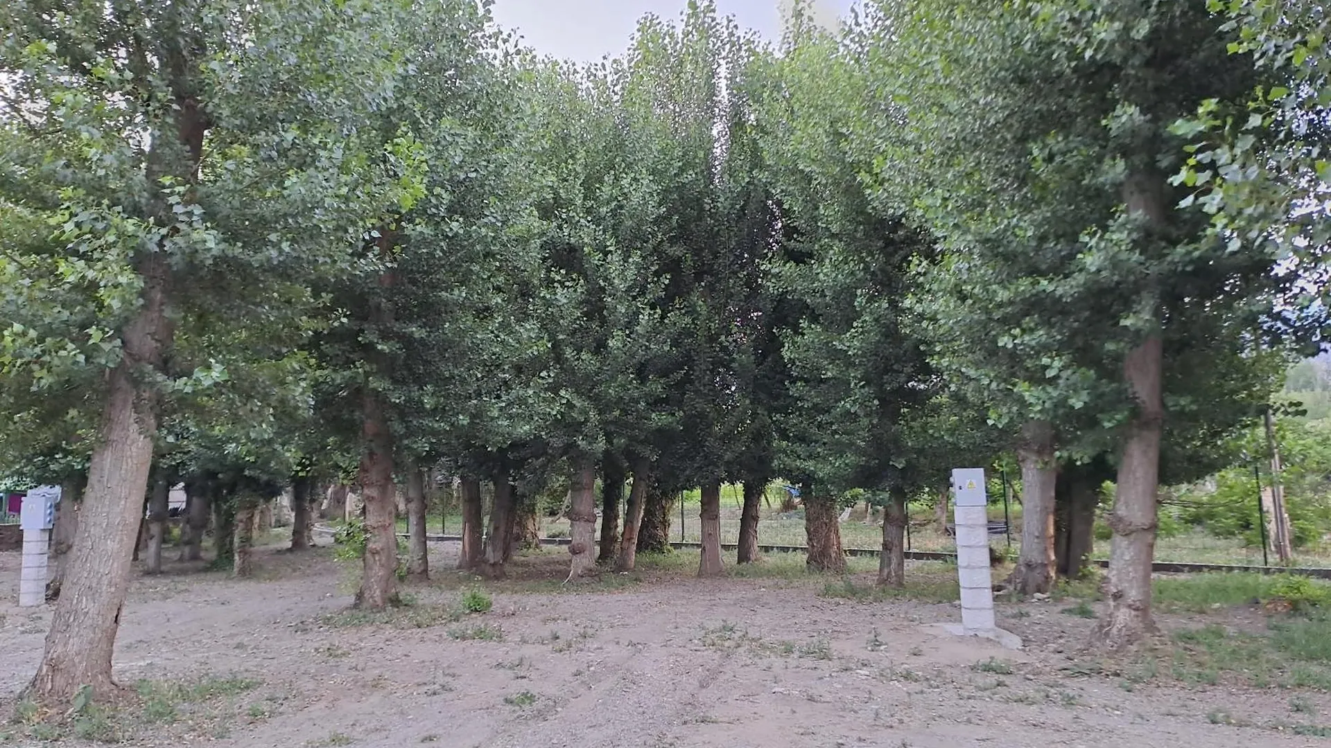 Camping Valle Del Andarax Fondon Campsite