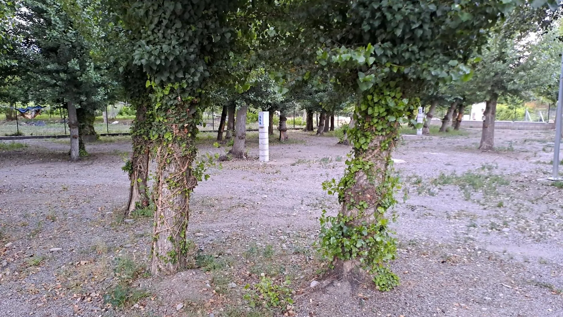 Camping Valle Del Andarax Fondón